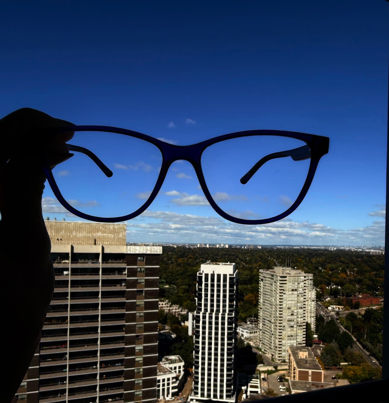 Sightology photo 3