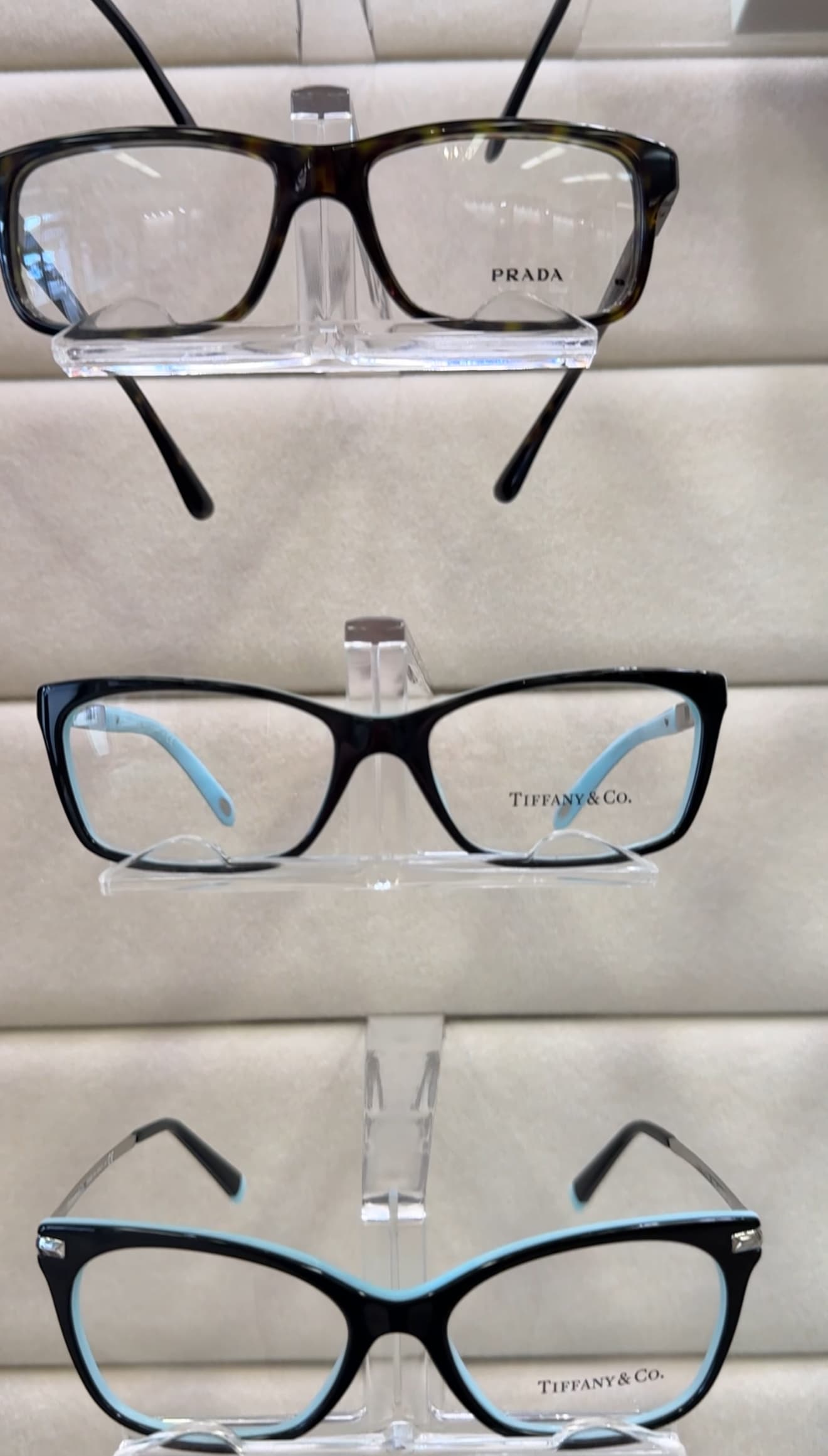 Sightology photo 4