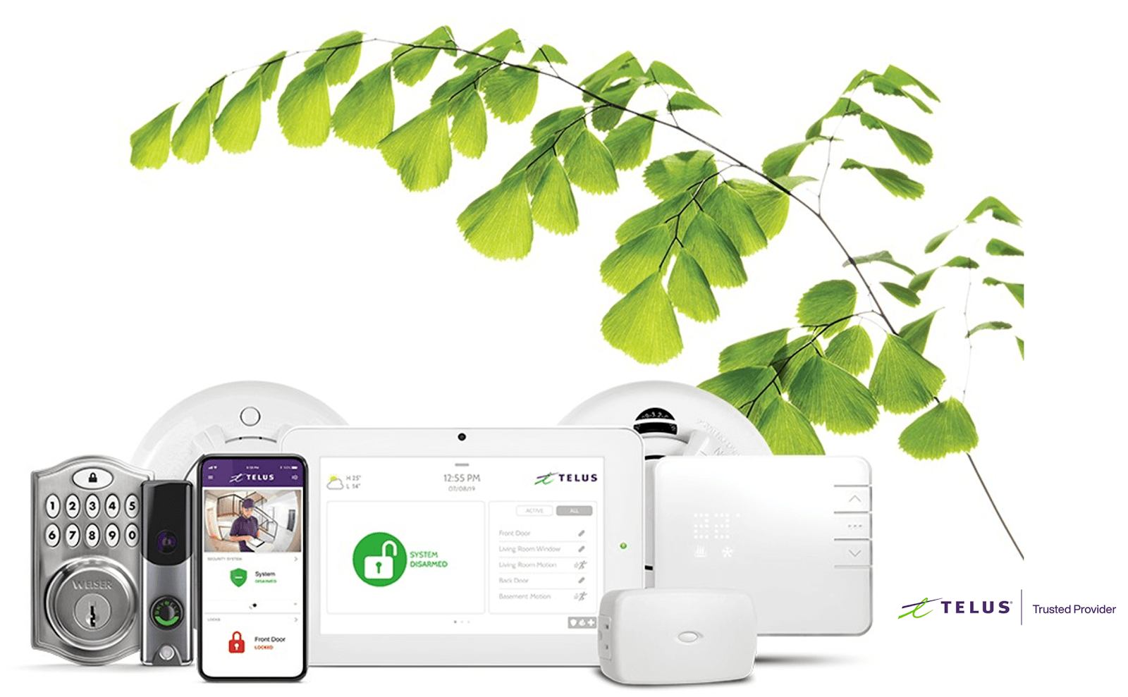 Smart Haven - TELUS Trusted Provider photo 6