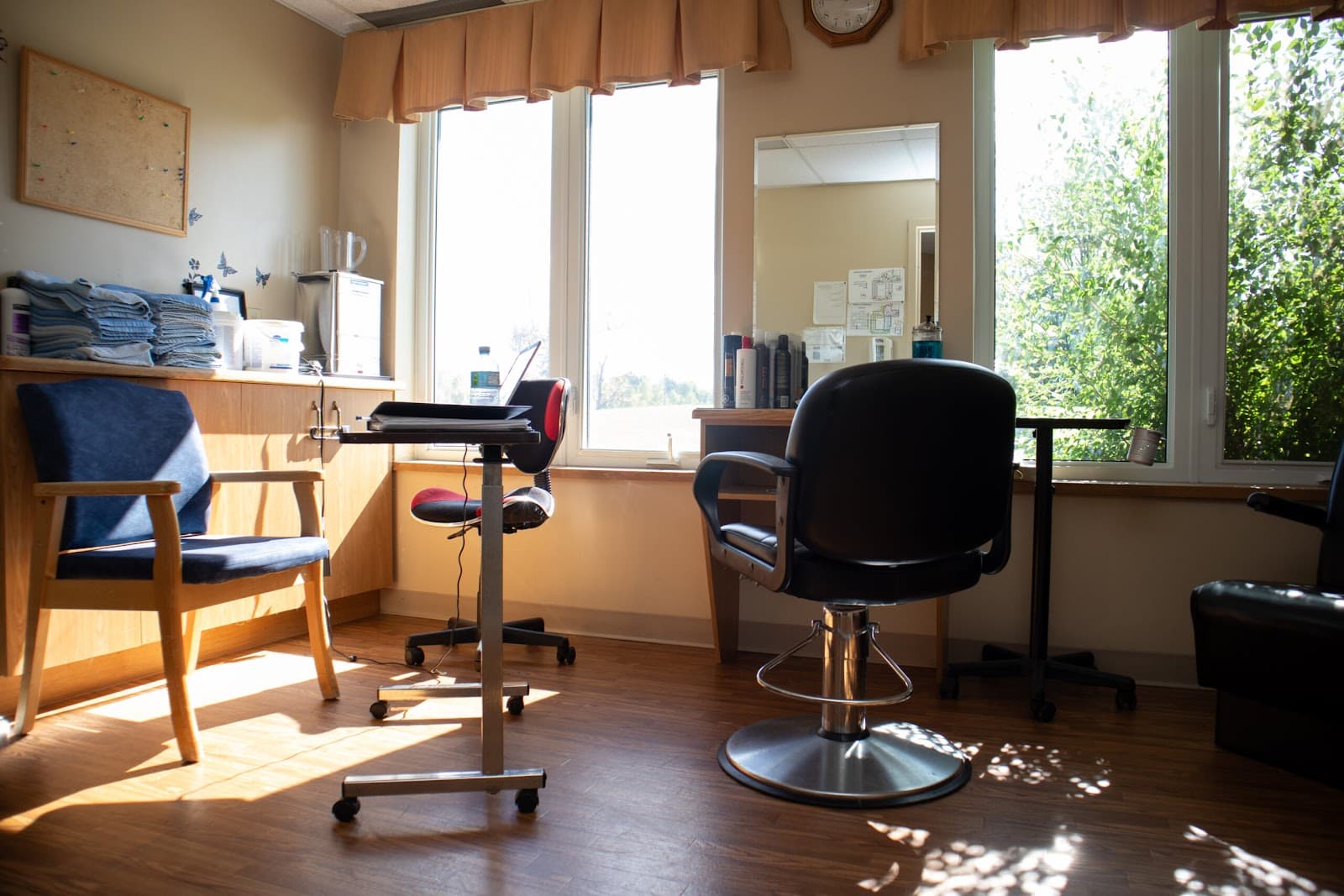 Springdale Country Manor photo 2