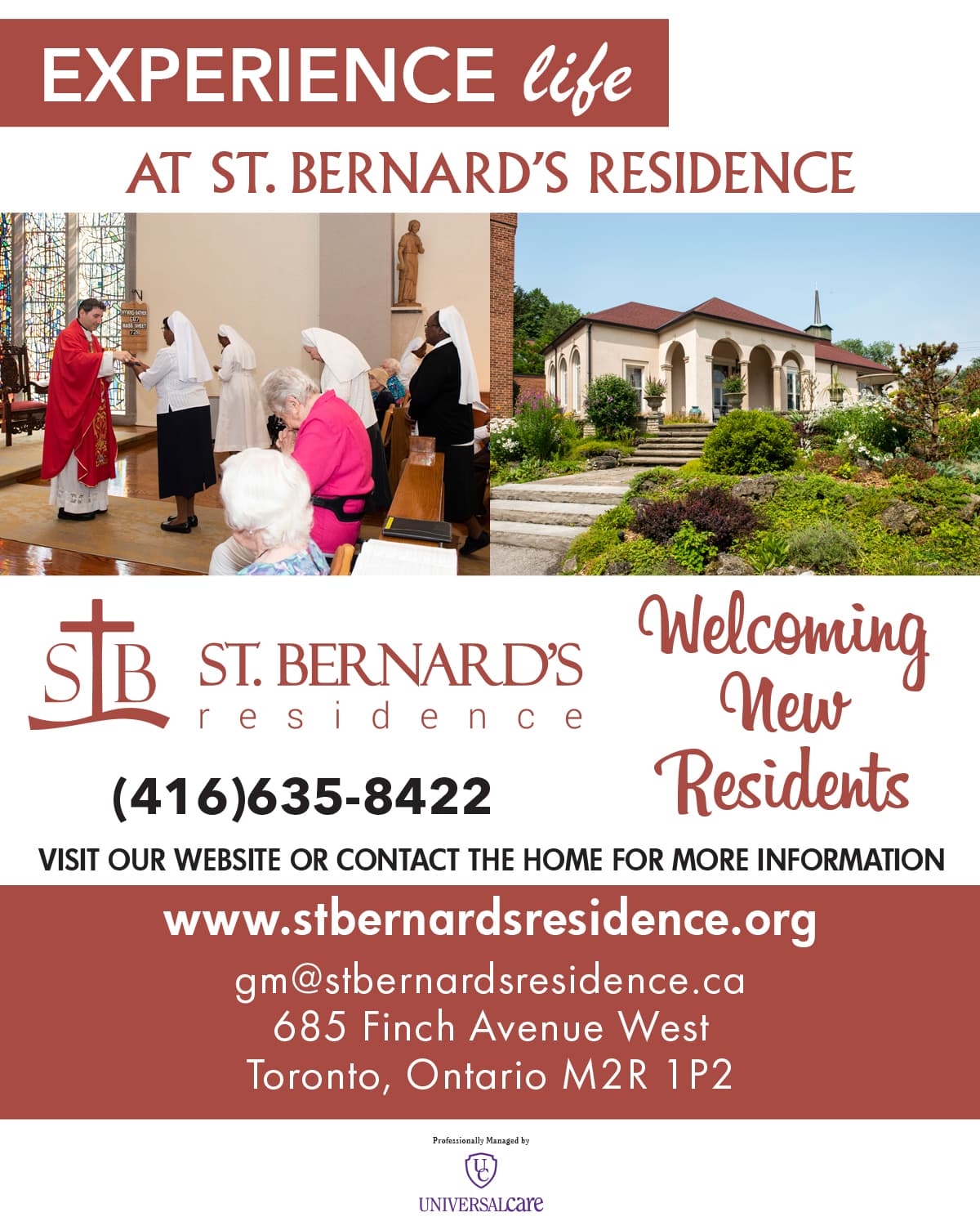 St. Bernards photo 2