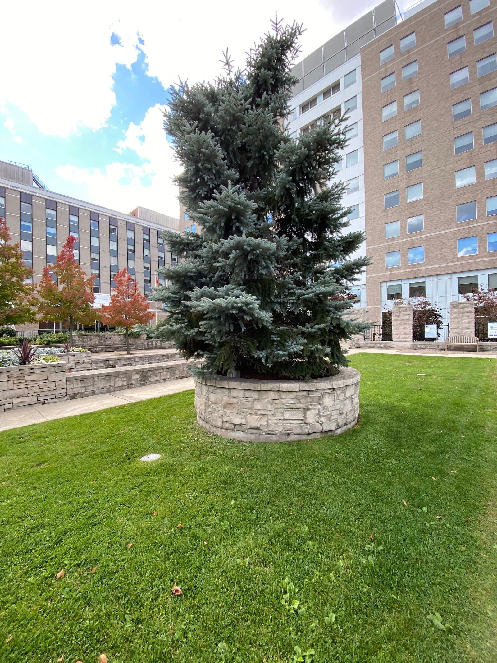 St. Joseph’s Healthcare Hamilton Audiology photo 2