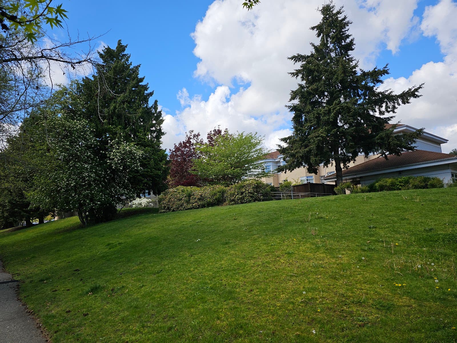 St. Vincent's Langara photo 1