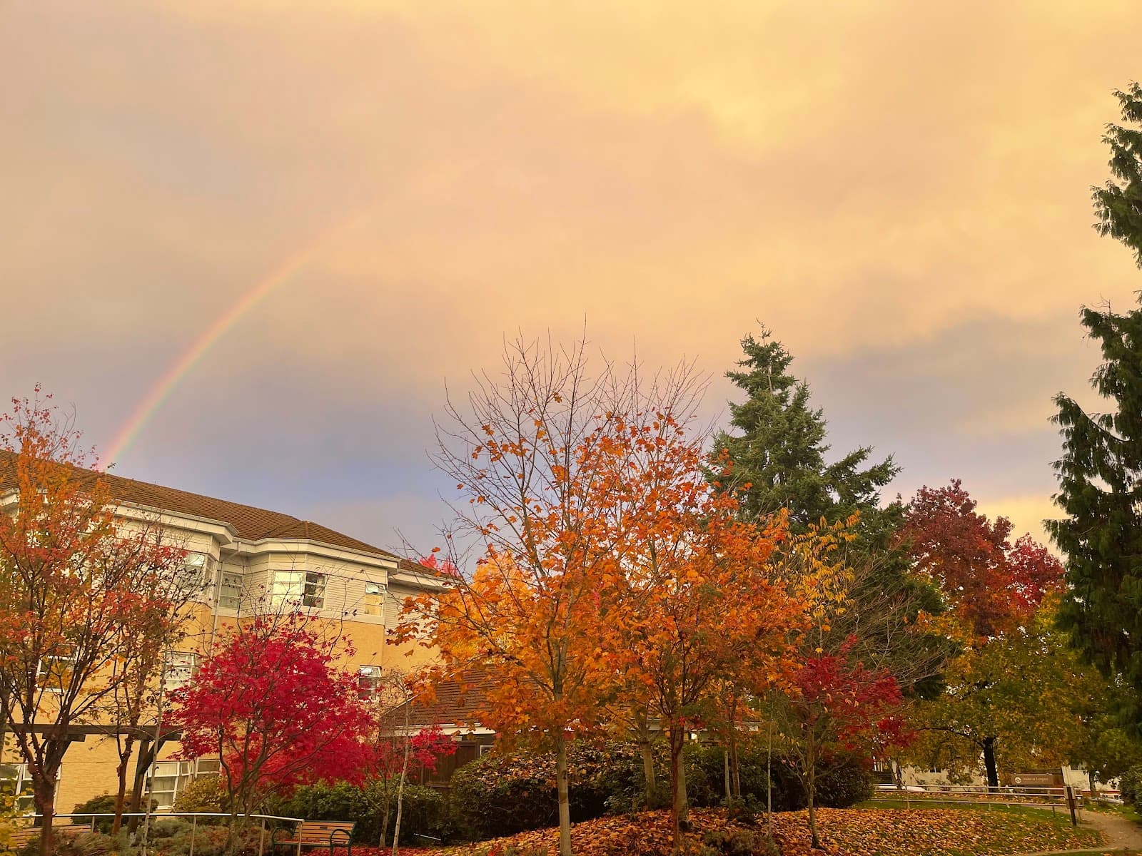 St. Vincent's Langara photo 2