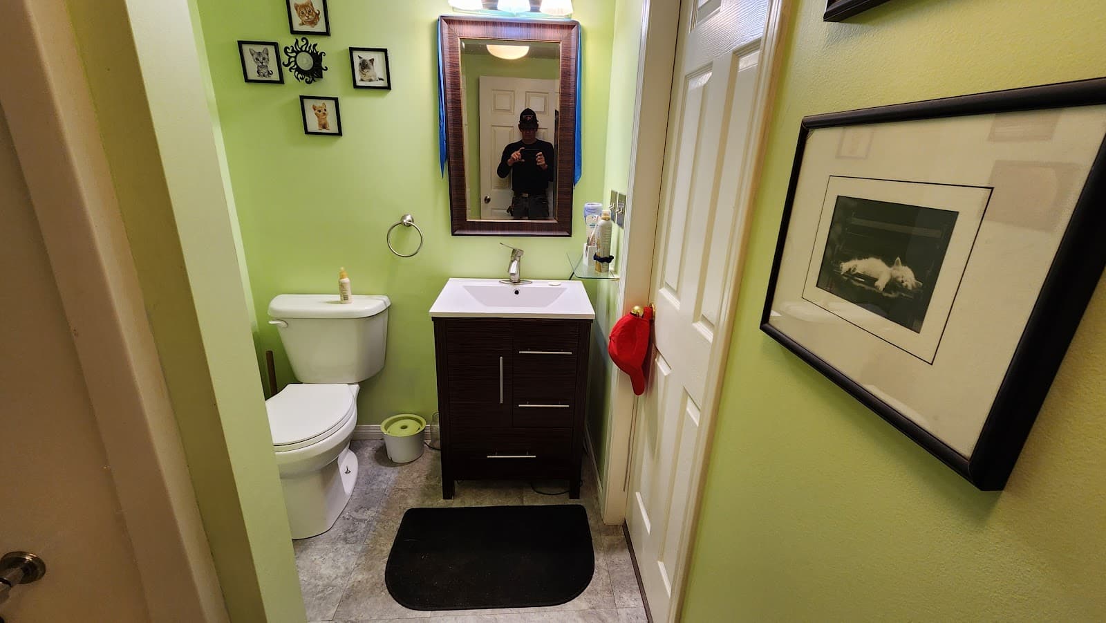 Terry's Renos and Repairs photo 5