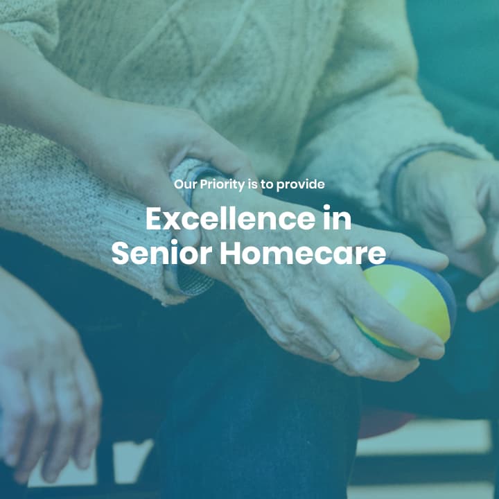 The Bridge for Homecare Solutions Inc.