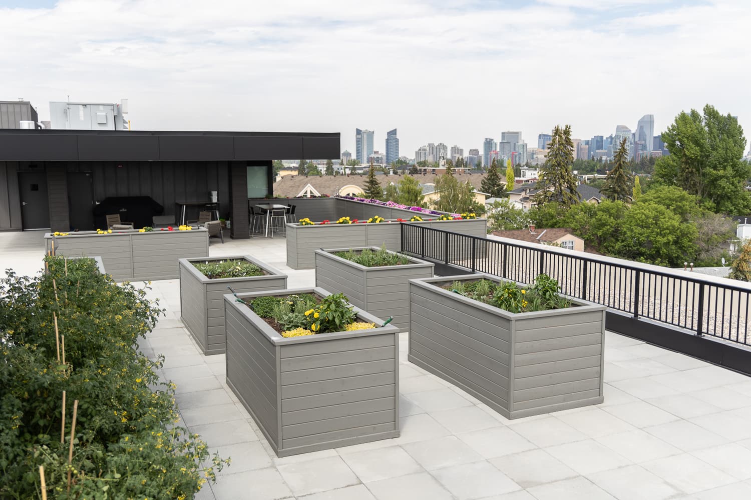 The Edward: Boutique Living by Chartwell photo 2