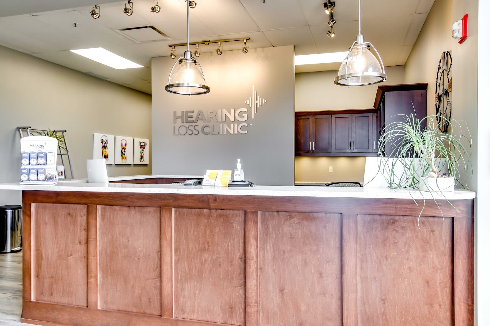 The Hearing Loss Clinic photo 2