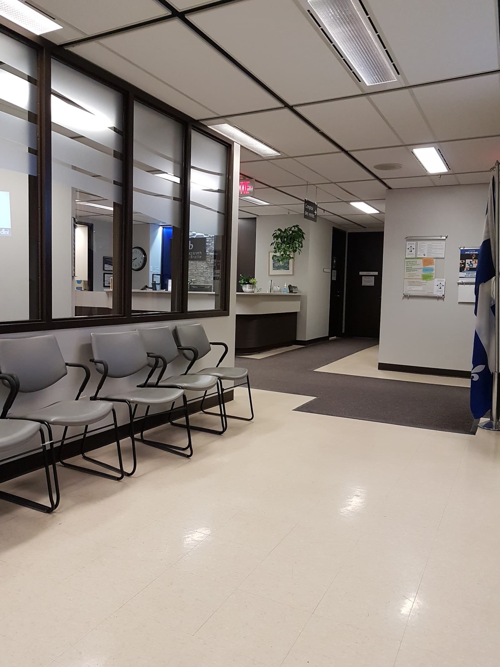 The Nazareth And Louis-Braille Institute