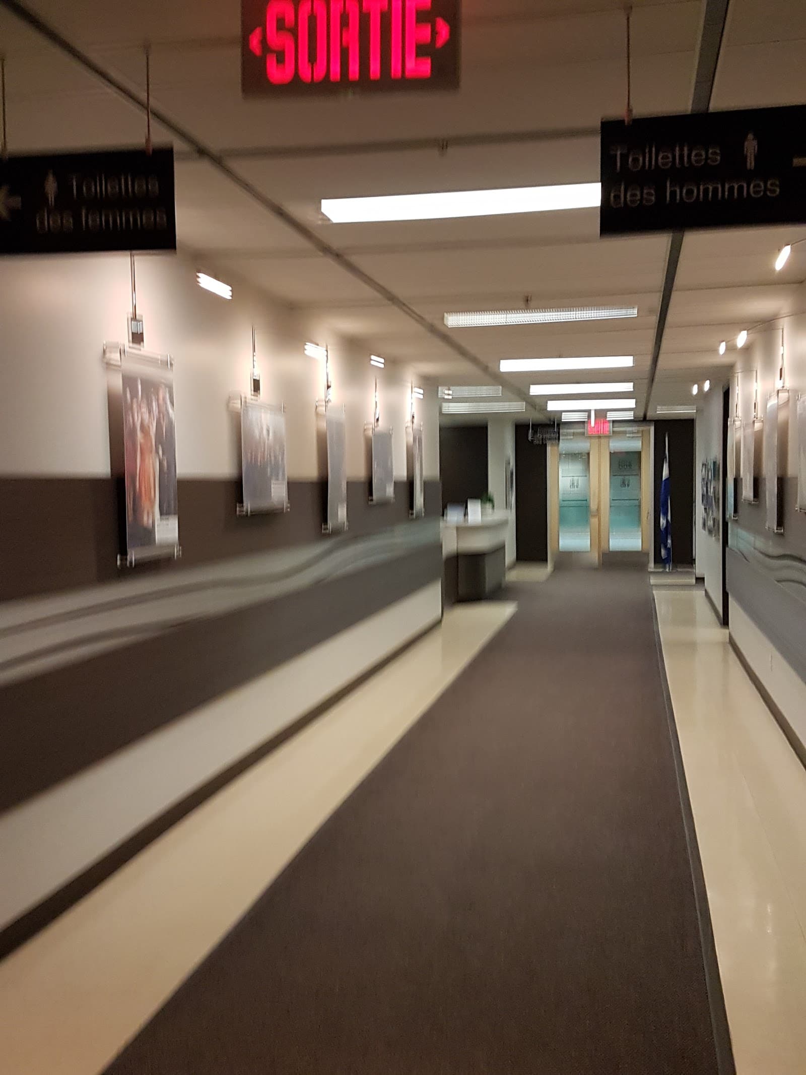 The Nazareth And Louis-Braille Institute photo 3