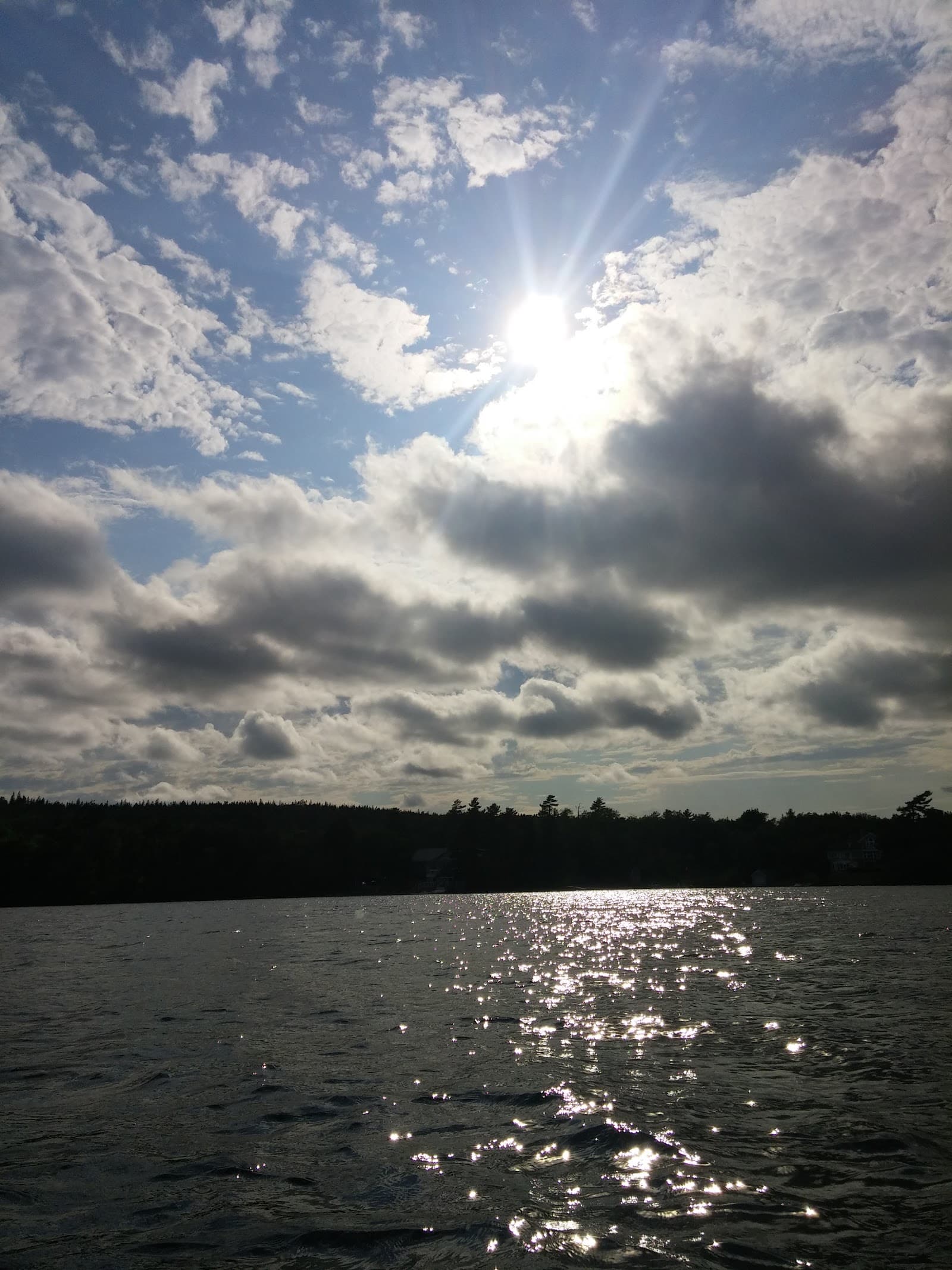 The Parks of West Bedford photo 3