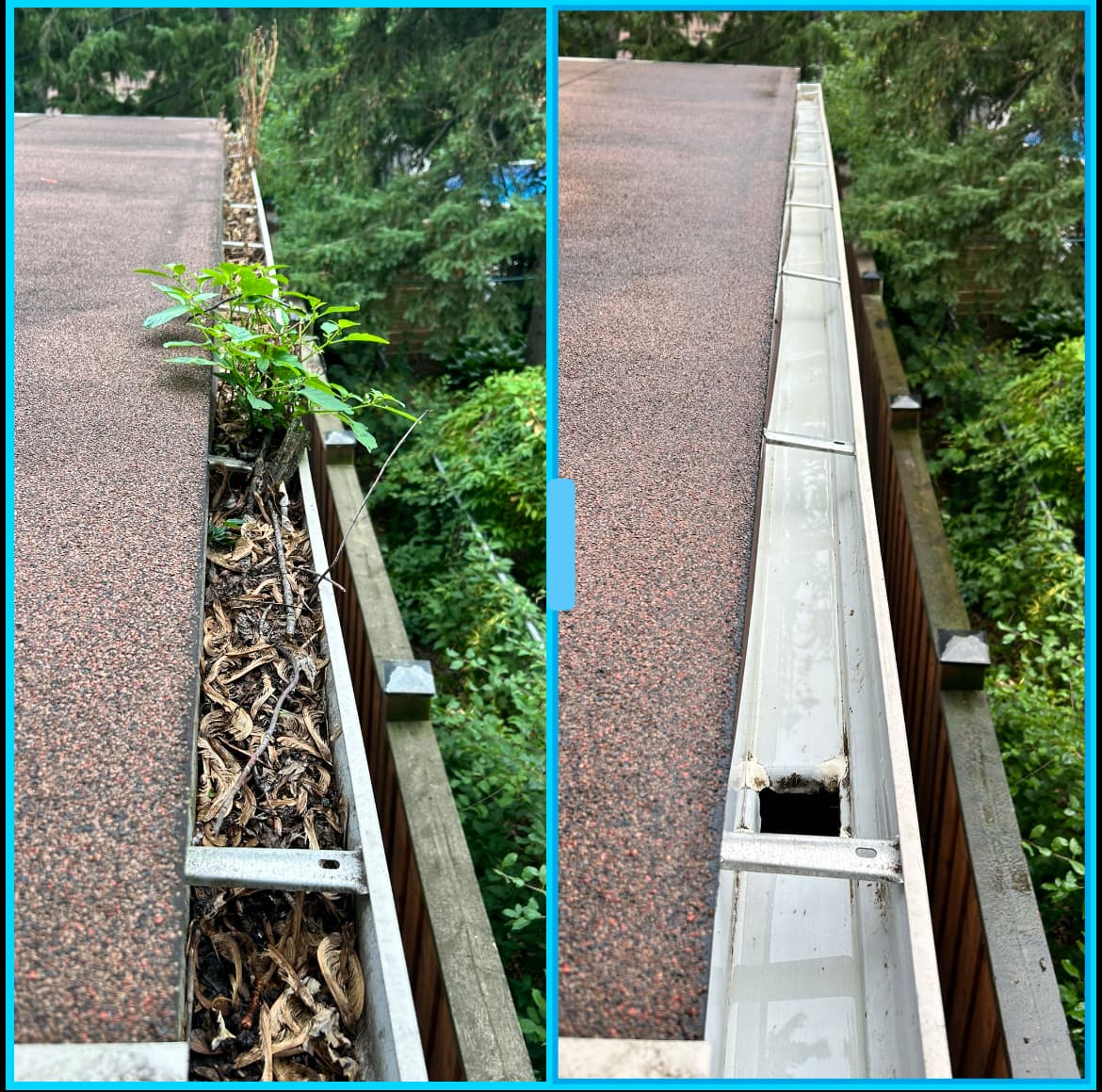 The Professionals Window & Eaves Cleaning Ltd., eavestrough cleaning in Toronto, photo 2