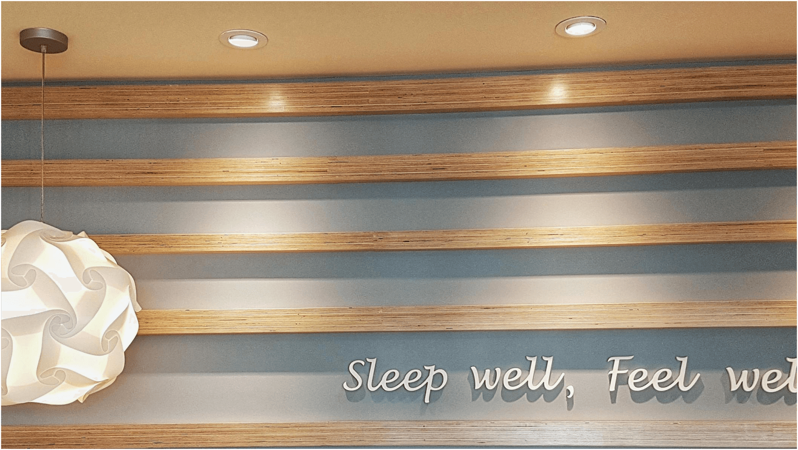 The Snore Shop