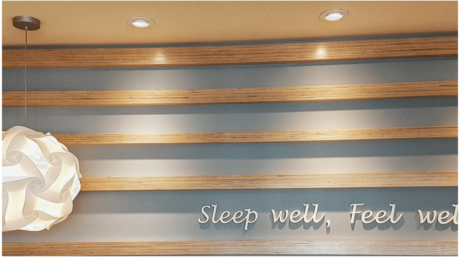 The Snore Shop