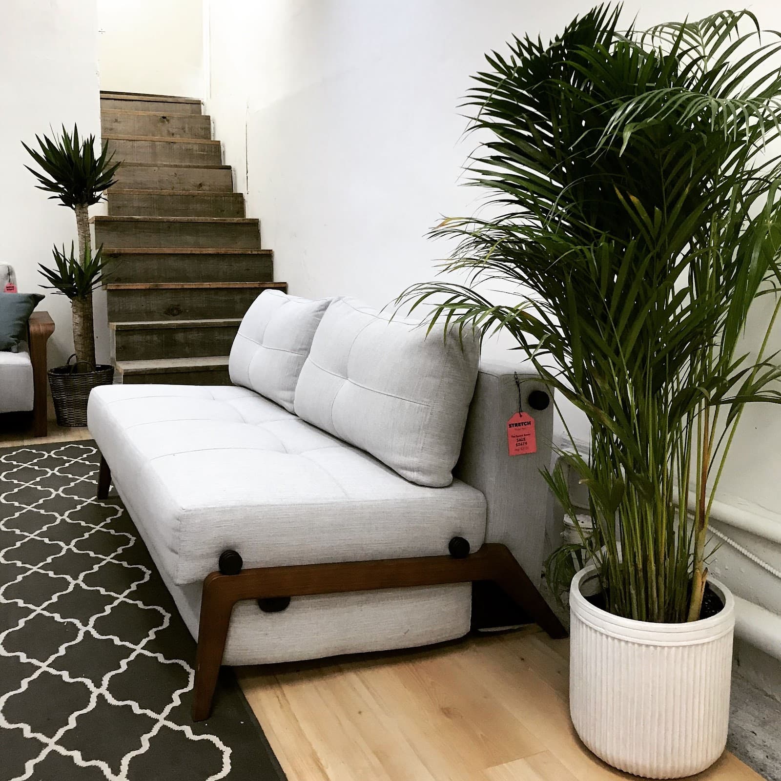 The Sofa Bed Store photo 3