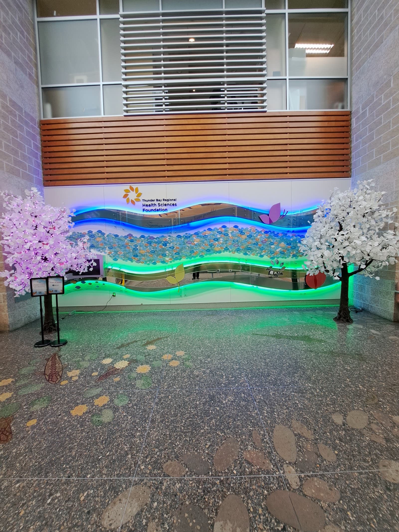 Thunder Bay Regional Health Sciences Foundation photo 2