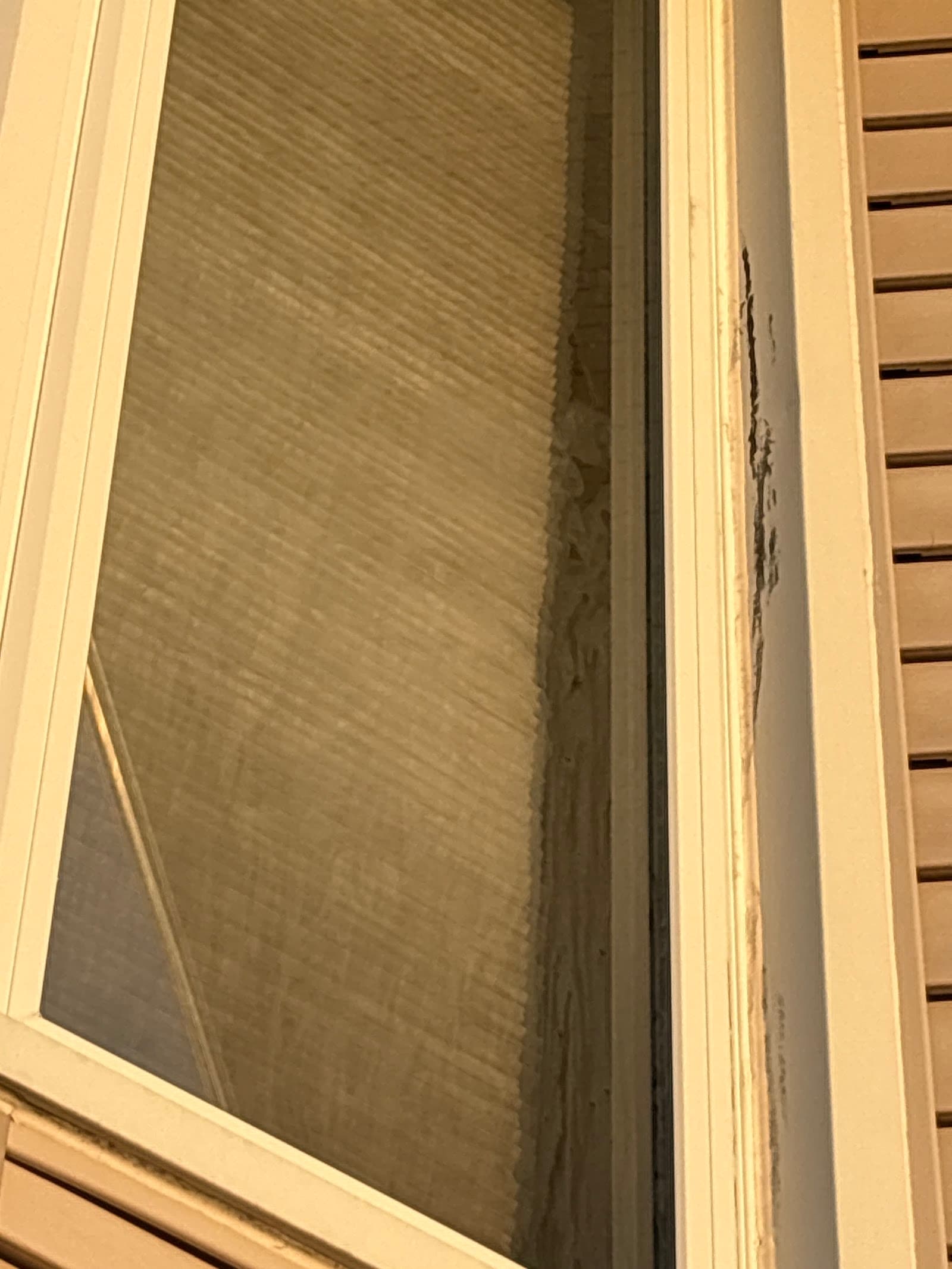 True Vision Exterior Cleaning & Repairs, eavestrough cleaning in Ottawa, photo 2