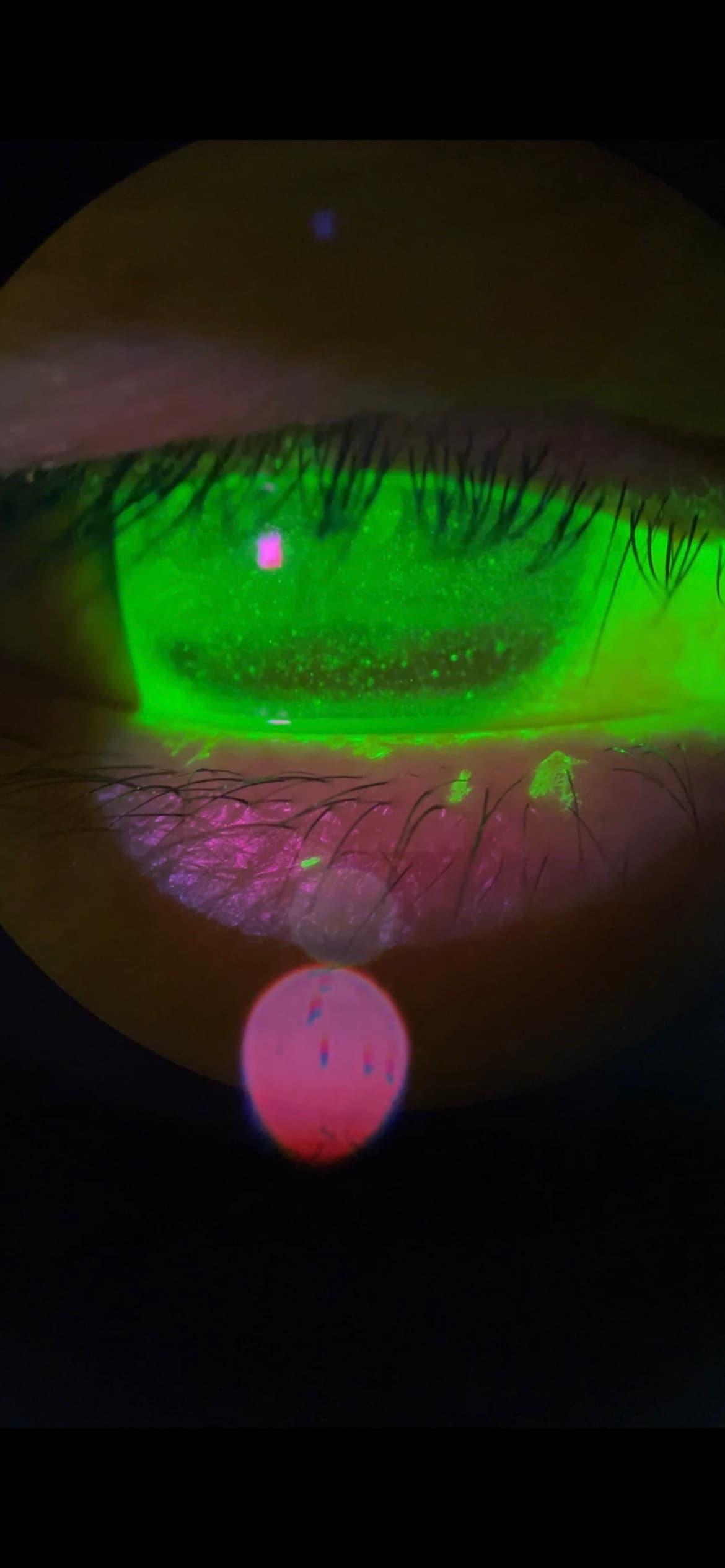 Union Optometry photo 3