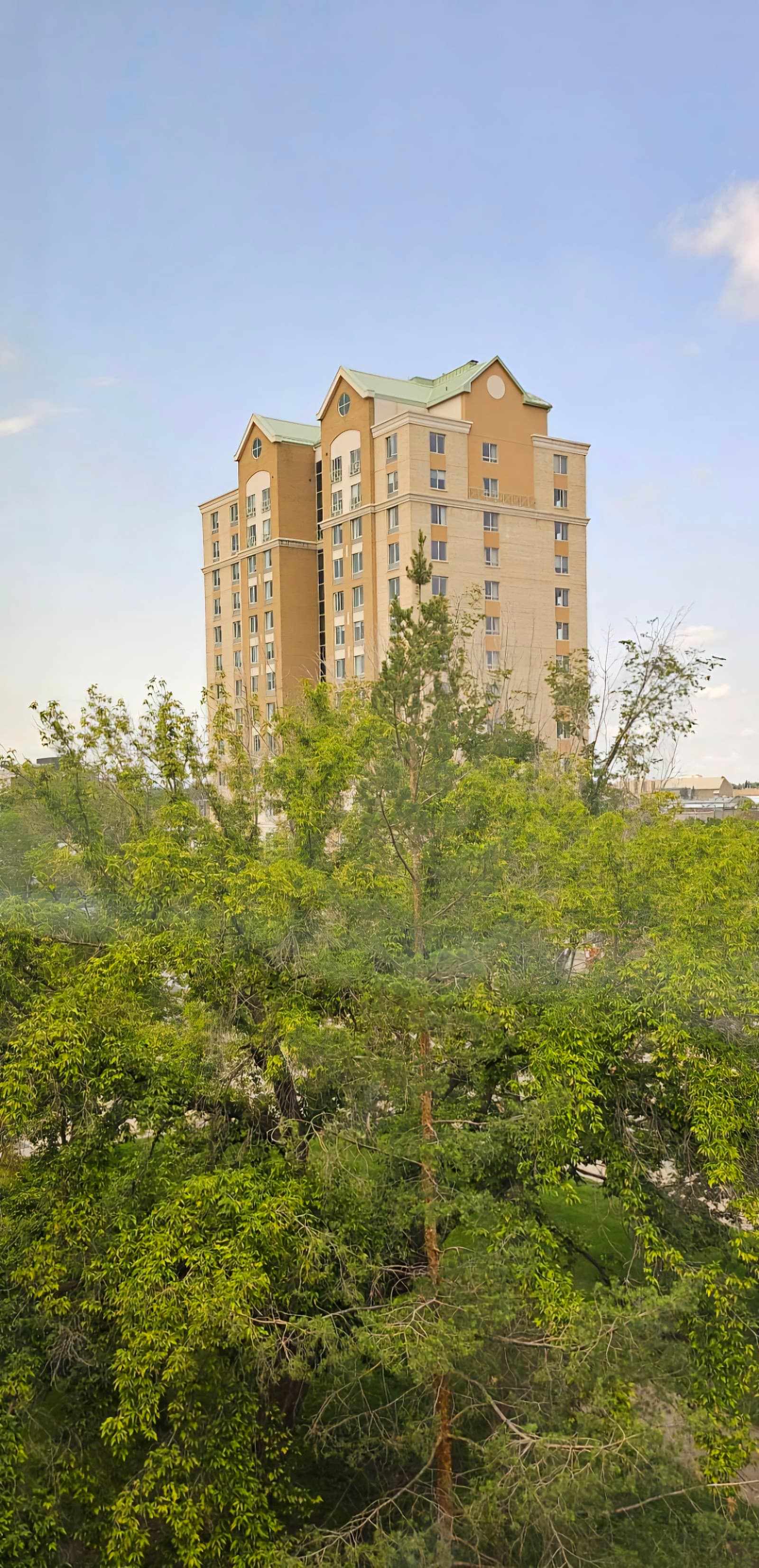 Venvi The Franklin