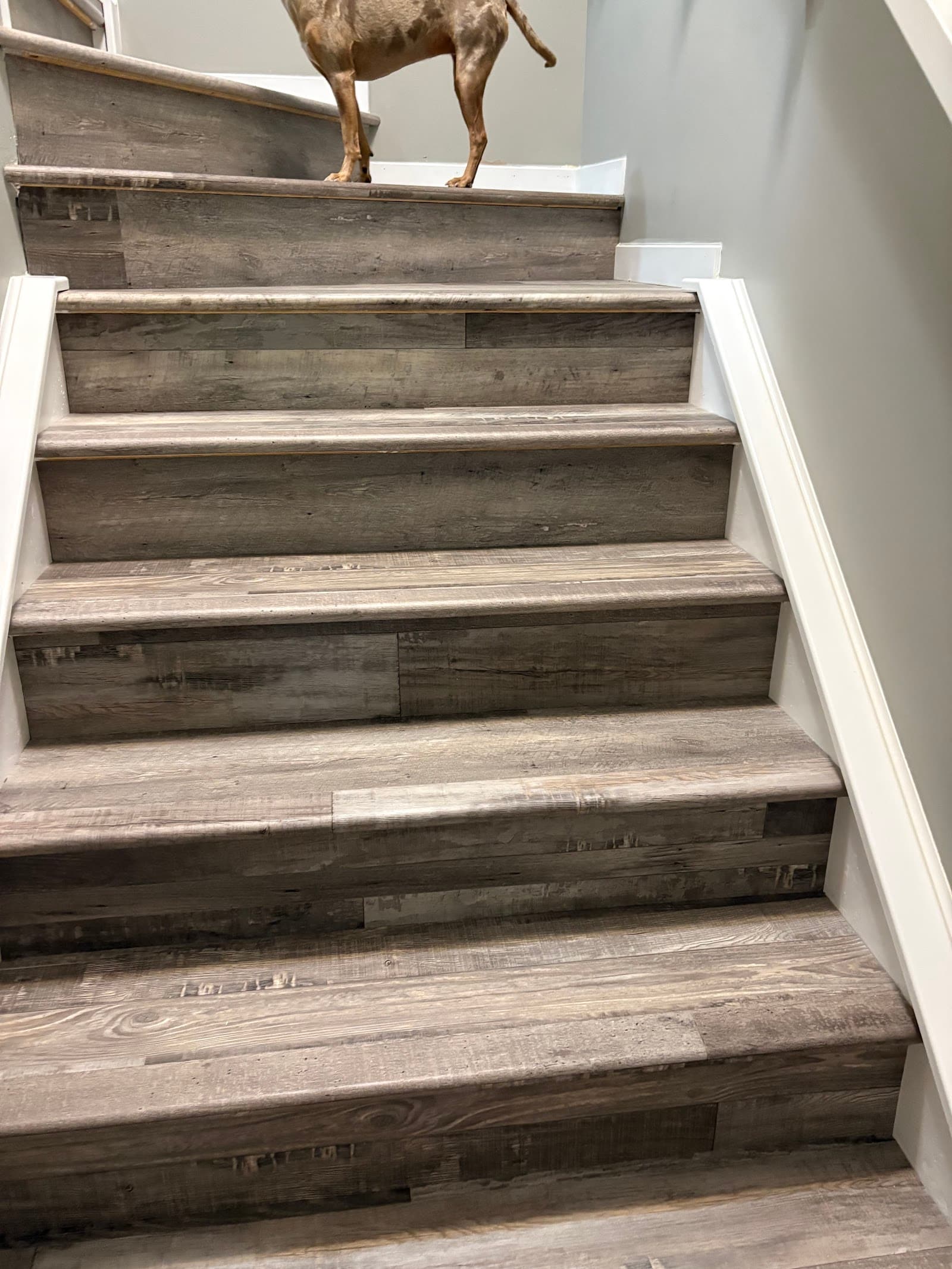 Versatile Renovations photo 4