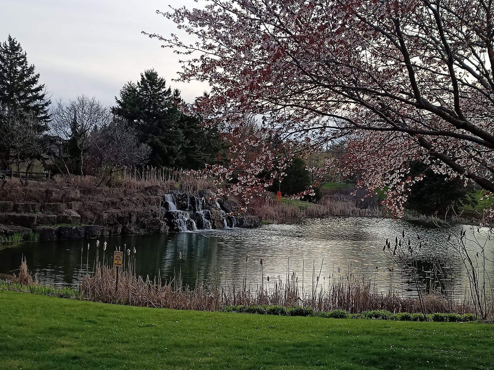 Village by the Arboretum photo 2