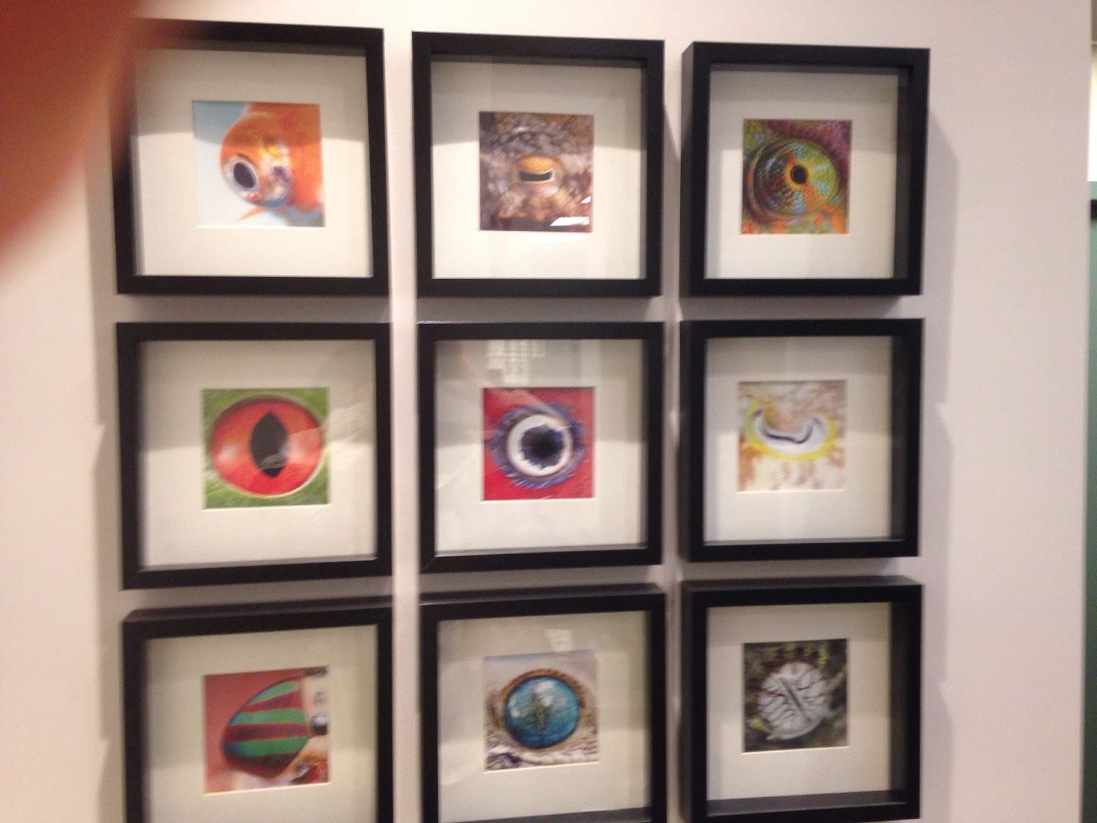 Vista Eyecare Doctors of Optometry photo 4