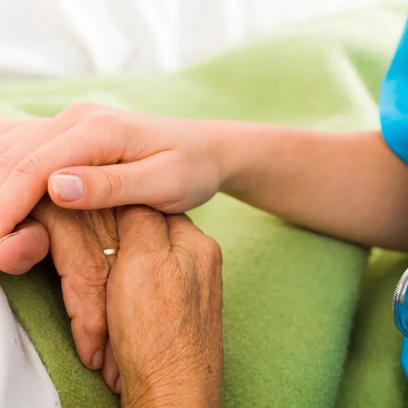 WellNest Care Services