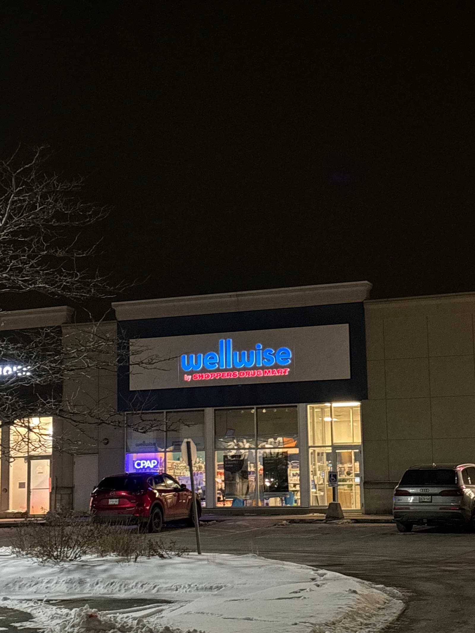Wellwise Home Health & Wellness
