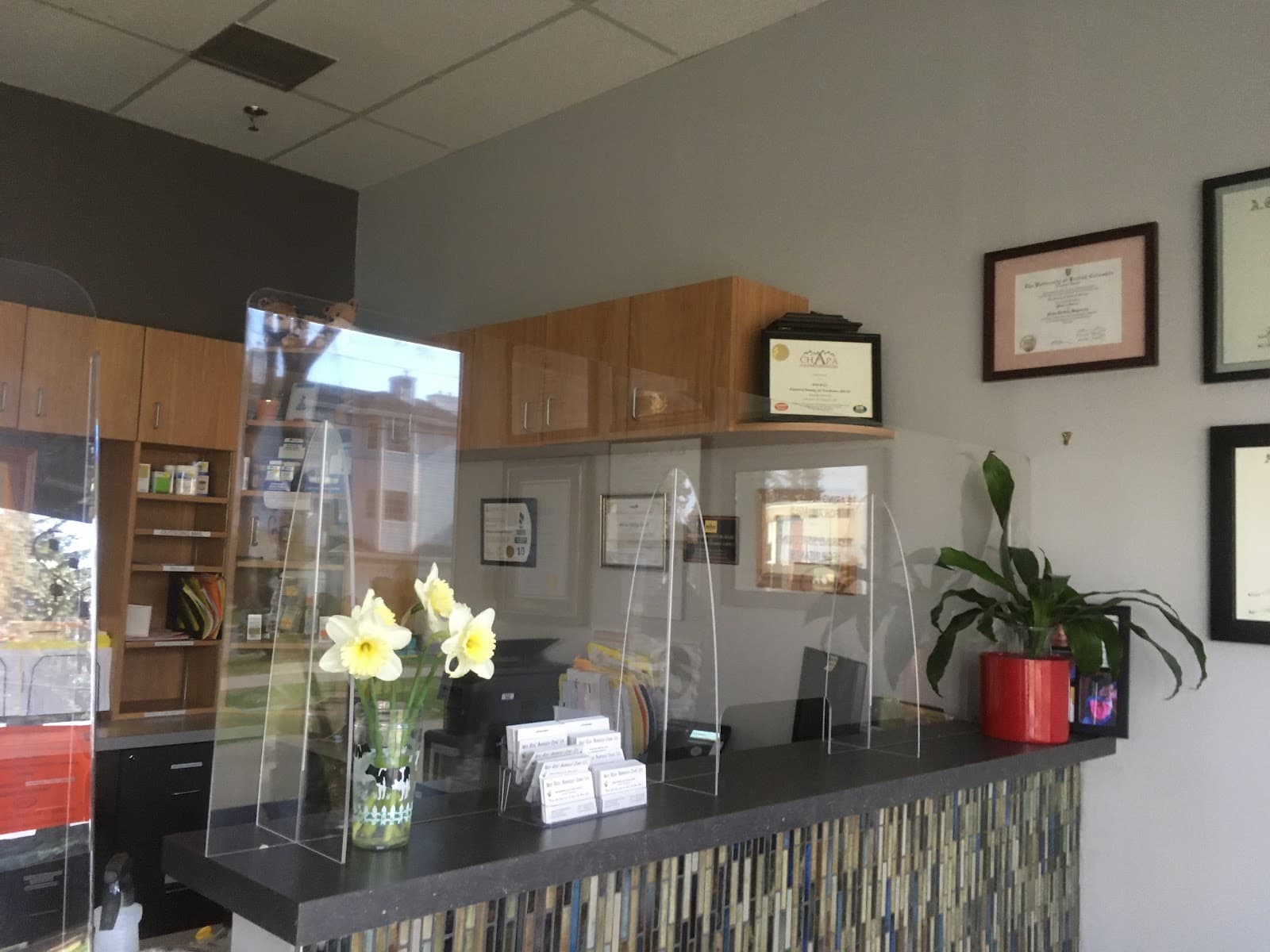 Wild Rose Audiology Clinic Ltd photo 2