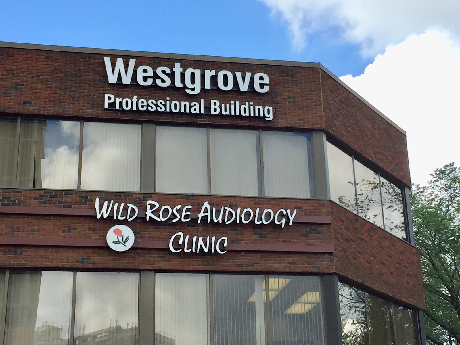 Wild Rose Audiology Clinic Ltd photo 3