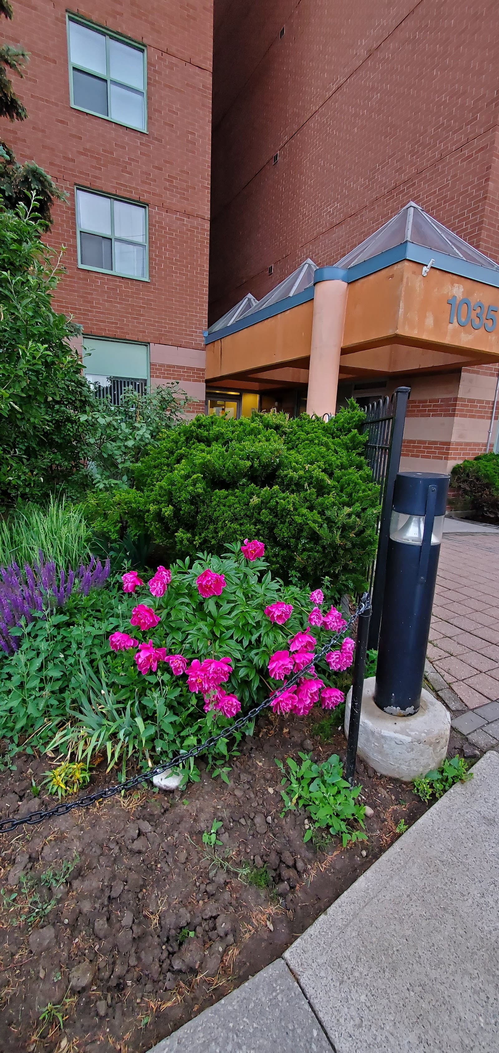 Windsor Hill Non-Profit Housing Corporation photo 2